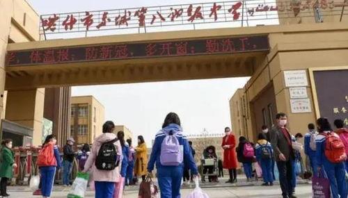 榆树学校开学最新爆料,揭秘校园新变化与开学盛况